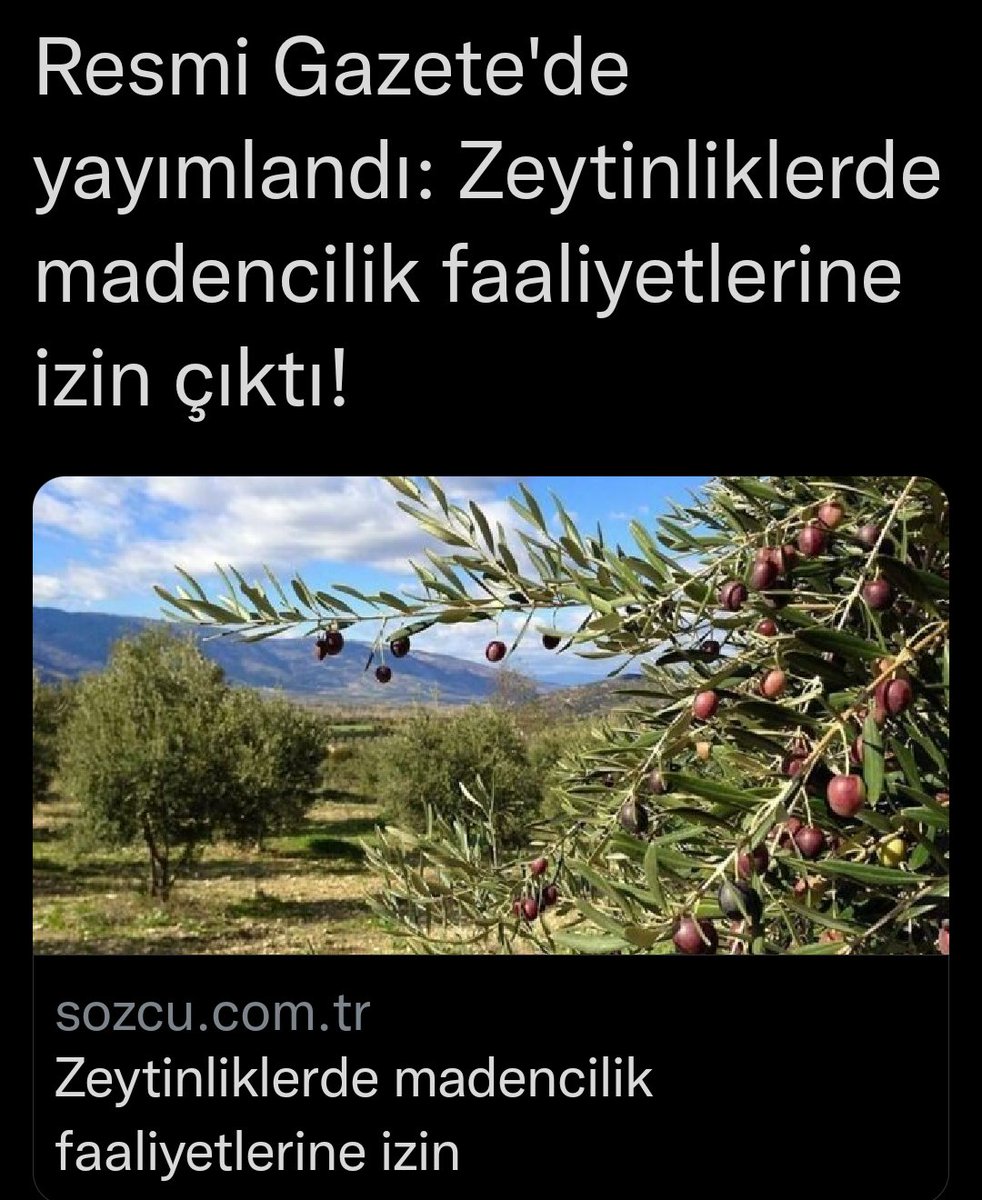 Zeytin, hayattır!
Çünkü köklerinden yeni
filizler çıkararak kendisini yeniden doğurur. Bilgenin deyişiyle;"Milat'tan, beyaz adamın Amerika'yı keşfinden daha eskidir!’’
Anadolumuzun belleğidir zeytin! Dünya zeytinle yaşar!..
#ZeytineDokunma