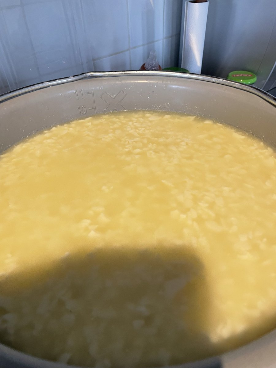 NatalieNTK's tweet photo. Vandaag met de melk van een Jersey #kaas #romig #smaakvol https://t.co/id3Rlz2gZt