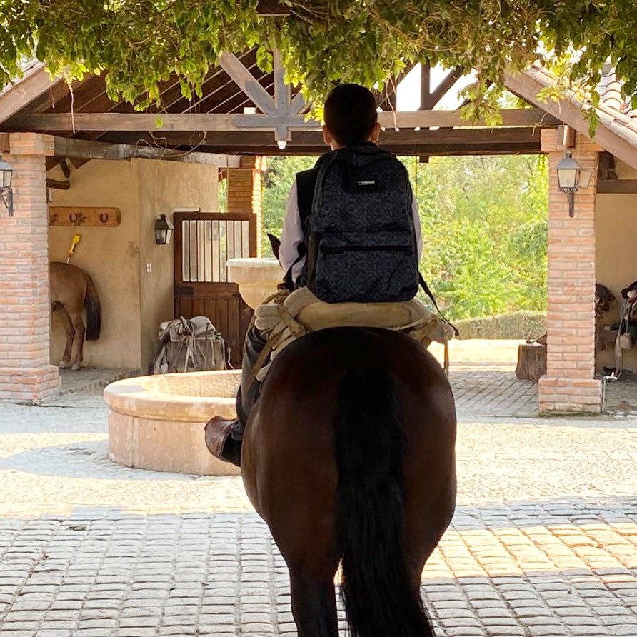 ¡Se nos vino marzo! ¡qué sea un gran mes para todos! un saludo especial a todos los niños en su regreso a clases 🍎📖 #palmasdepeñaflor