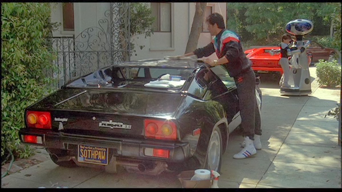 детейлинг трехфазная мойка. Lamborghini из рокки 4. предпродажная мойка. машинтер. зектер машина.