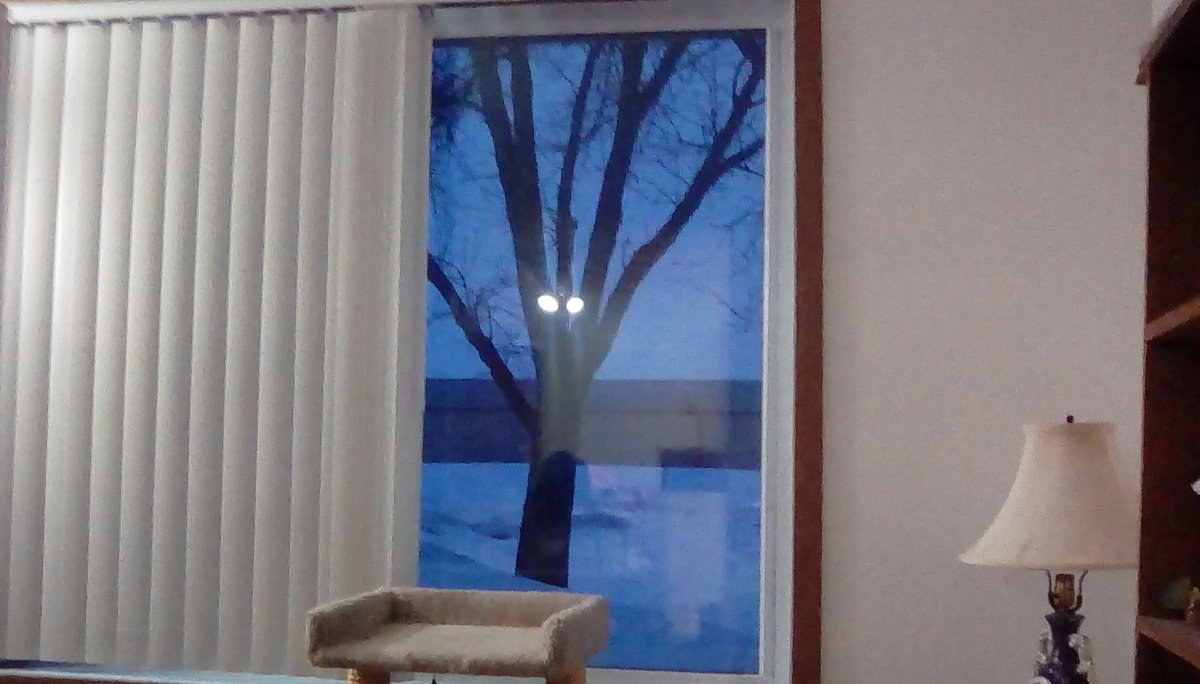 DerpinessIHave's tweet image. #EvilTree #ItWatches #SinisterNature