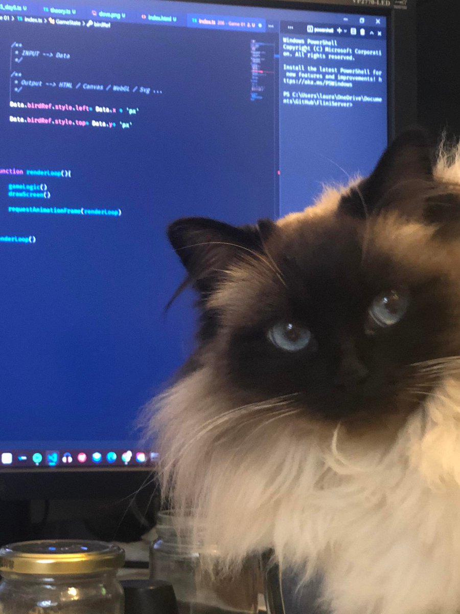 Lauramaywendel's tweet image. Meet my Code Ewok and personal assistant, the beautiful Selkie