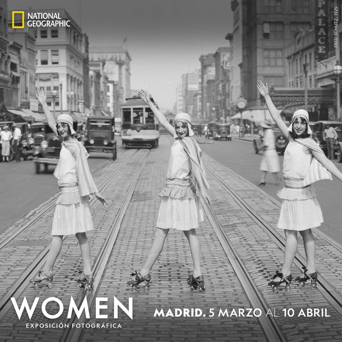 National Geographic tweet media