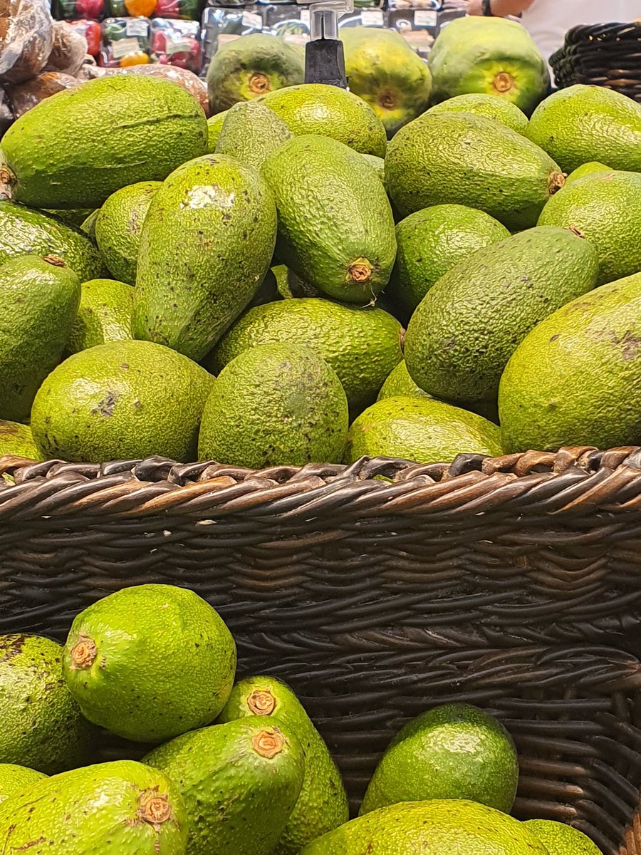 Horticulture Crops Directorate (Hort_crops) Twitter