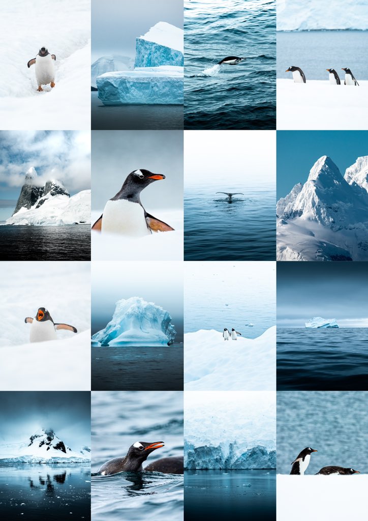 Tales of Antarctica is now LIVE on <a href="/opensea/">OpenSea</a> 🇦🇶 This was the most memorable trip of my life, exploring the icebergs, wildlife and raw nature of Antarctica was lifechanging! Thanks to every single one of you for being a part of my journey, it means alot 🙏🏼

opensea.io/collection/tal…