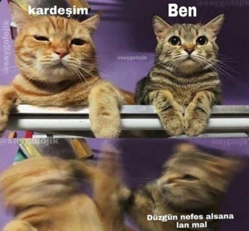 tweetberatt's tweet photo. Kardeşimle 2 dk yan yana otutmuşumdur;🤪 https://t.co/QtjytI5MZL