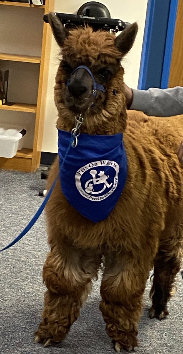 KarenHessLCSWC's tweet photo. Pets on Wheels visit BCMS #BCMS_LovesPetsOnWheels https://t.co/y7LEIgzvRa
