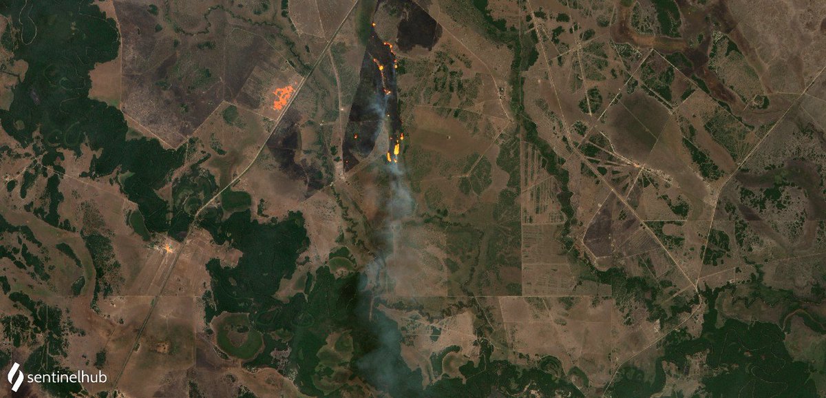 WED_explorer's tweet image. 🔥forest fires in #Corrientes, #Argentina🇦🇷
©️The script published by @Pierre_Markuse
🛰@sentinel_hub #CustomScripts