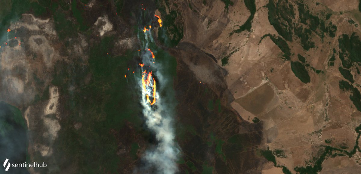 WED_explorer's tweet image. 🔥forest fires in #Corrientes, #Argentina🇦🇷
©️The script published by @Pierre_Markuse
🛰@sentinel_hub #CustomScripts