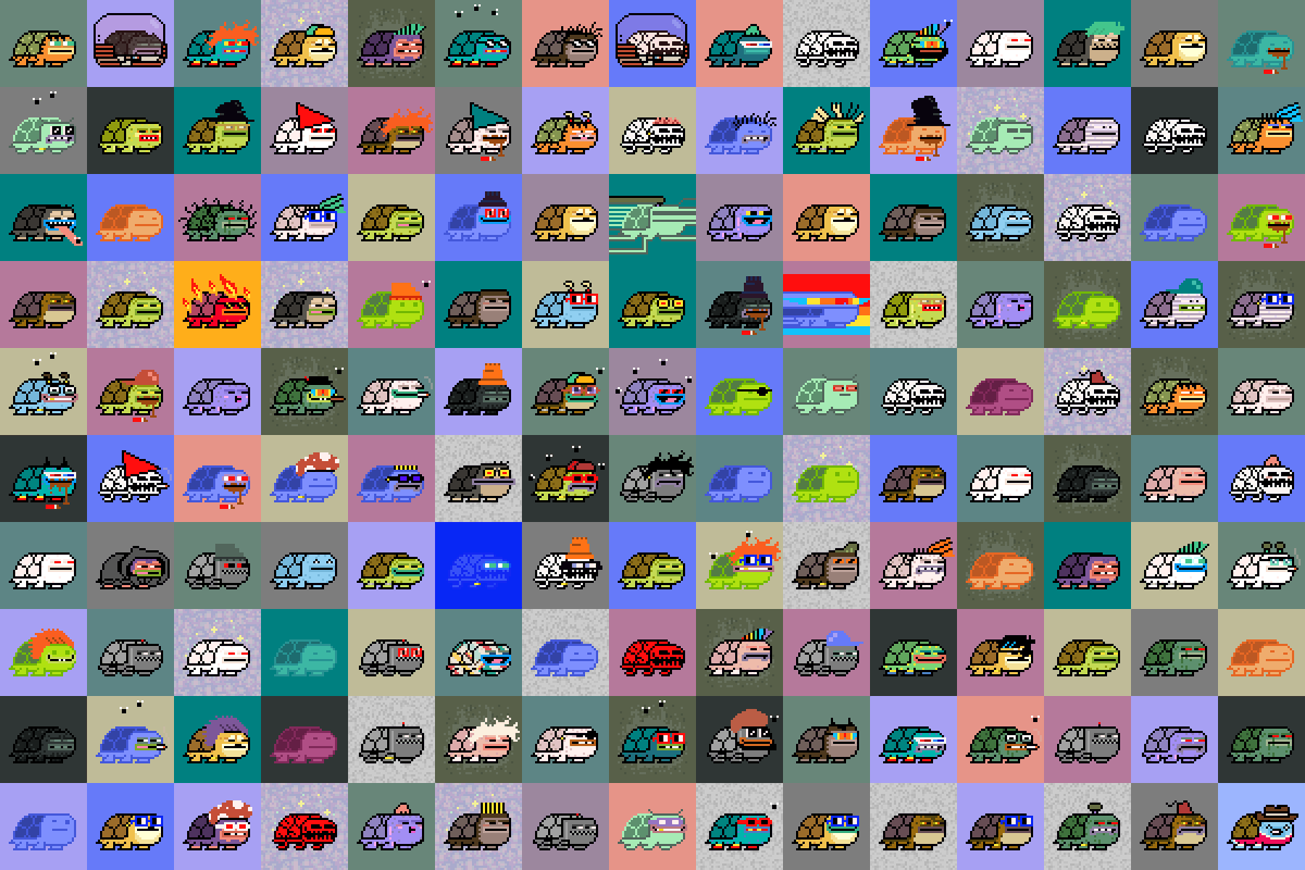 cryp_turtlez's tweet photo. GM!
Season 1 of the first 150 Turtlez is complete!
In the coming days you will find them on the blockchain... stay tuned and !vibe.
#NFT #NFTCommunity #NFTCollection #cryptoadz #crypturtlez https://t.co/t0IOYE4uq3