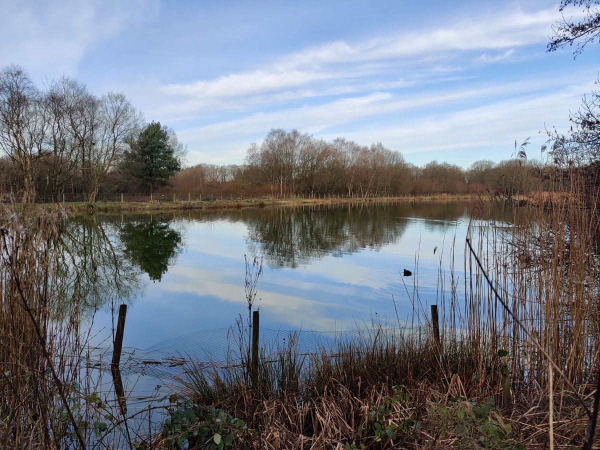 LindowCommon's tweet photo. Bye, bye Winter. Hello meteorological Spring 🌷
A damp, but sunny start to the new season on #LindowCommon, #Wilmslow. Just 20 days until astronomical Spring...

(Also Shrove Tuesday today 🥞) https://t.co/jWFSEIhw4u