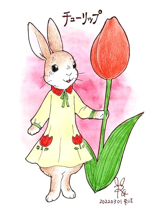 メーカー再生品 手書きイラスト 76 Caraubas Rn Gov Br