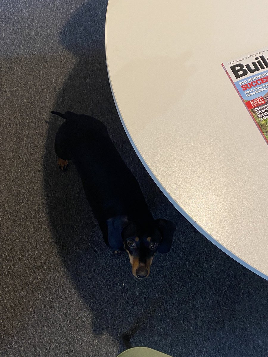 Where’s Wally with Margot at the studio……