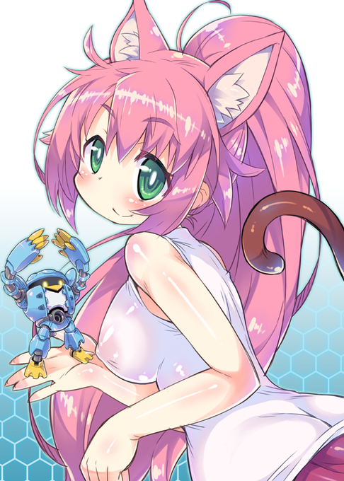 ビルドダイバーズのメインヒロインのはずです! 