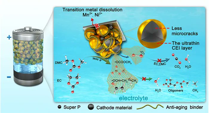 patternfox1's tweet photo. Biologically inspired anti-aging strategies maintain the function of lithium-ion batteries keeping them younger for longer.  https://t.co/Mz6V9oE2no https://t.co/lAkhPELCLJ
