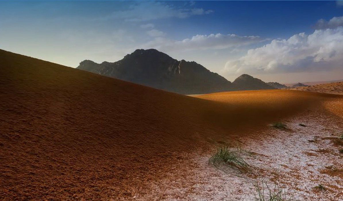 SaudiProject tweet picture