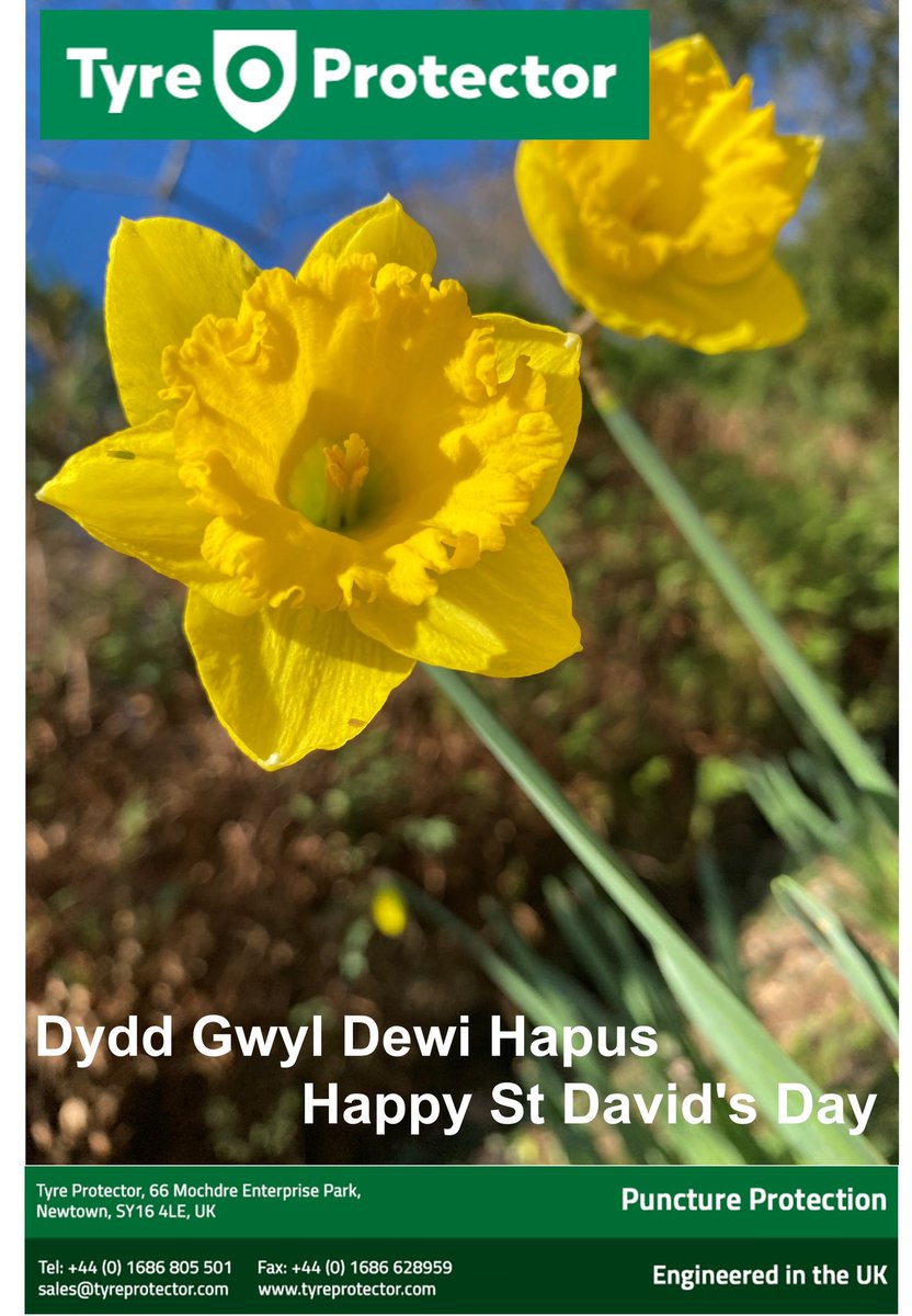 Happy #StDavidsDay from all <a href="/tyreprotector/">Tyre Protector Tyre Sealants</a>