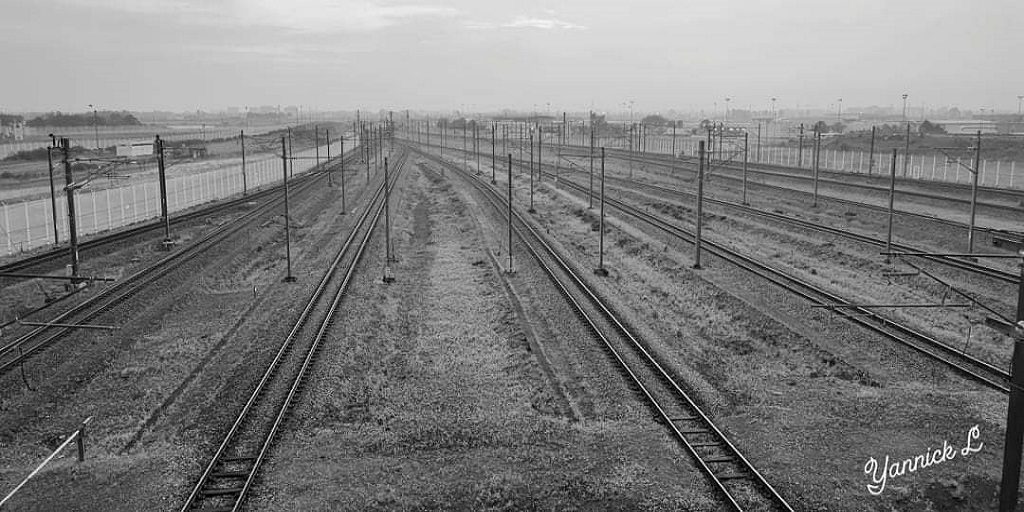 LeShuttle tweet media