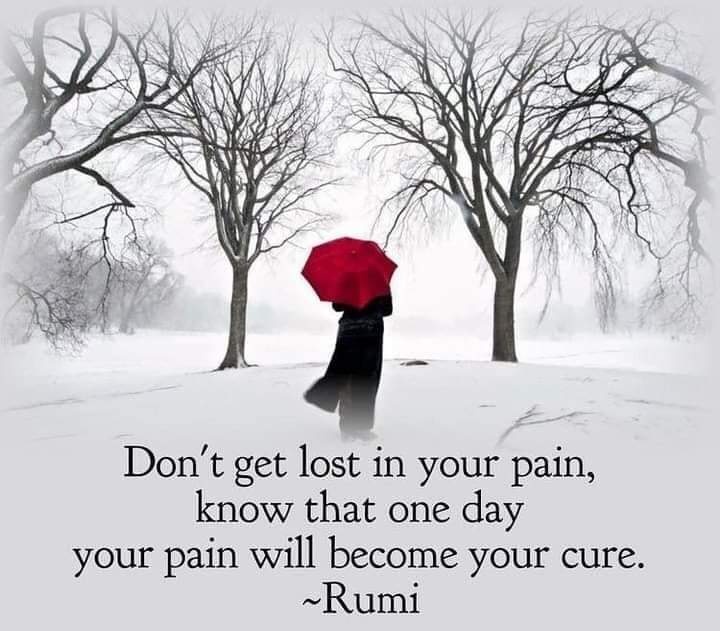 sanjabh's tweet photo. Pain, suffering & the cure!! https://t.co/n7YBdgfRSo