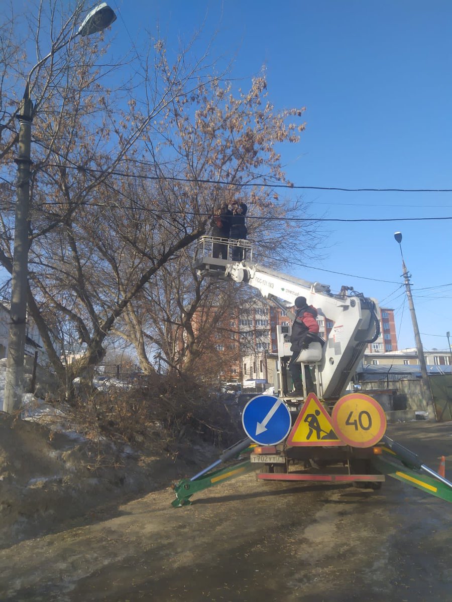 ⁦<a href="/Tularegion71/">Правительство ТО</a>⁩ Кронирование аварийных деревьев