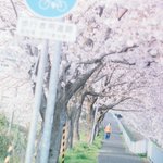 ツイートに含まれる画像