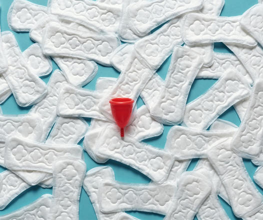 CREAT_08's tweet photo. Réduire l'empreinte écologique de ses règles 

#environnement #produitshygiéniqueslavables #réduiredéchetsdansleau #menstruations #empreinteécologique 
https://t.co/neMO8DMeos https://t.co/BWnzpKFU7g