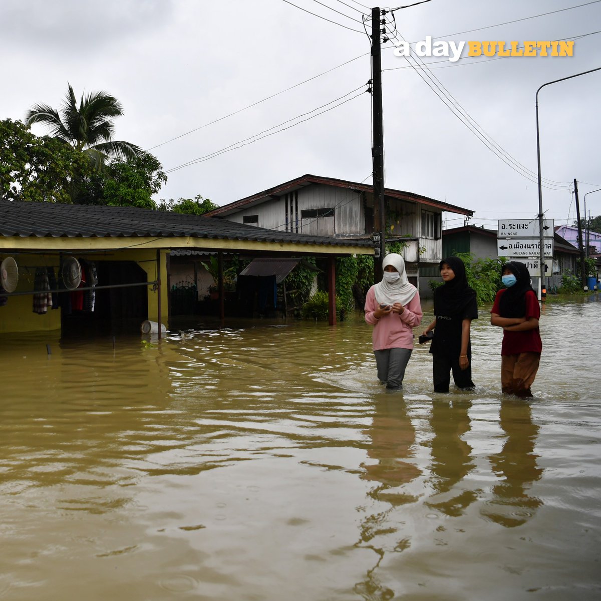 adaybulletin's tweet photo. ทุกพื้นที่ในจังหวัดนราธิวาสน้ำได้ลดลงอย่างต่อเนื่อง ยังไม่มีฝนตกลงมาเพิ่ม บางแห่งสามารถระบายน้ำได้รวดเร็วเพราะเป็นพื้นที่ลุ่มใกล้แม่น้ำที่สามารถให้น้ำระบายไปยังทะเลได้ แต่ต้องรอประเมินความเสียหายอีกที #adayBULLETIN #ConversationsForAll #น้ำท่วมภาคใต้ #นราธิวาส https://t.co/BVN7s99kN1