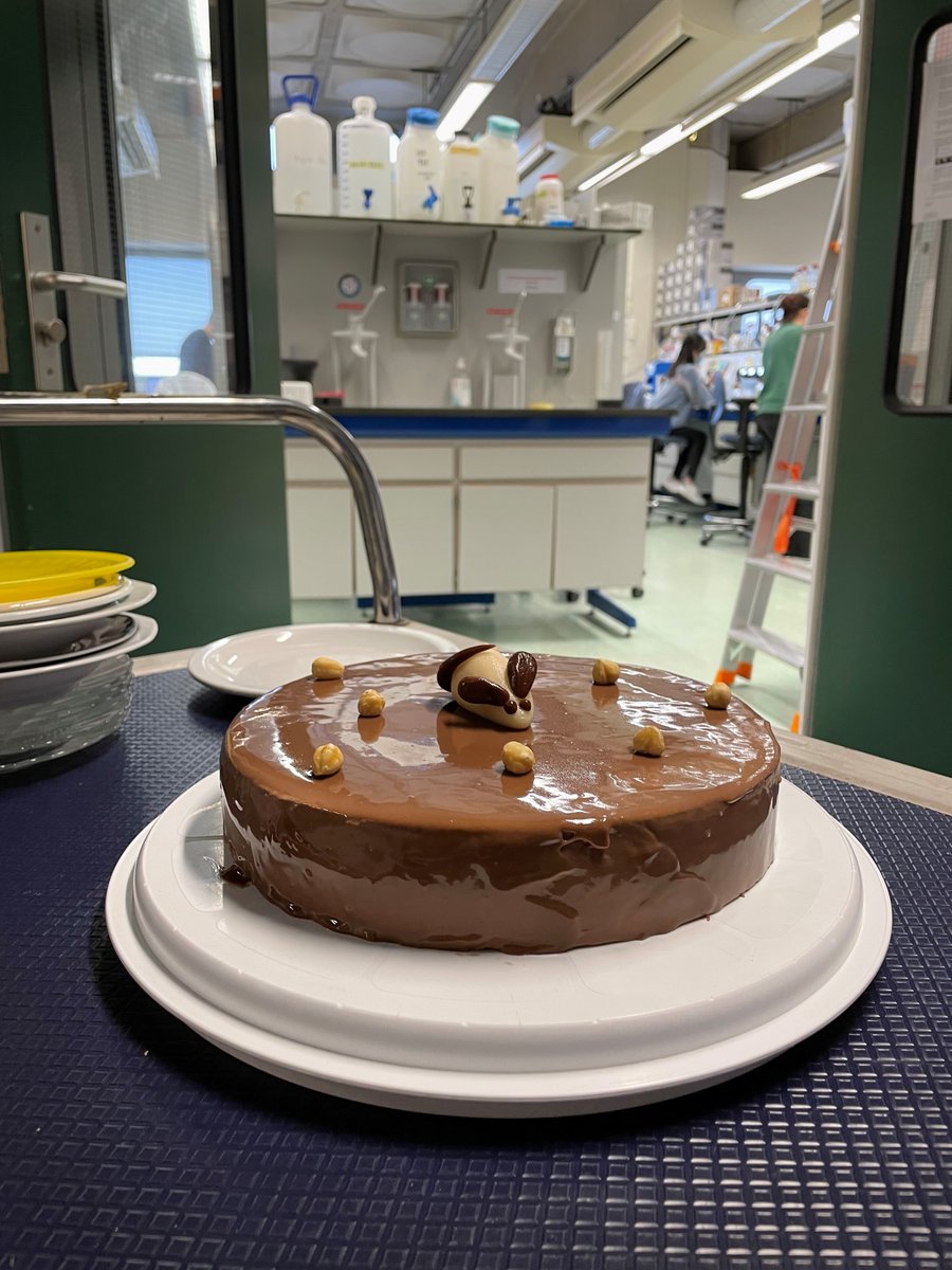 Gribnau lab (@gribnaulab) on Twitter photo Today we celebrated the publication of our new X chromosome reactivation model. In the most delicious way possible!😋 <a href="/ErasmusMC/">Erasmus MC</a> <a href="/hemibon/">Hegias Mira Bontenbal</a> <a href="/RSRT/">RSRT</a> <a href="/stemcellreports/">StemCellReports</a>
cell.com/stem-cell-repo… Today we celebrated the publication of our new X chromosome reactivation model. In the most delicious way possible!😋 <a href="/ErasmusMC/">Erasmus MC</a> <a href="/hemibon/">Hegias Mira Bontenbal</a> <a href="/RSRT/">RSRT</a> <a href="/stemcellreports/">StemCellReports</a>
cell.com/stem-cell-repo…