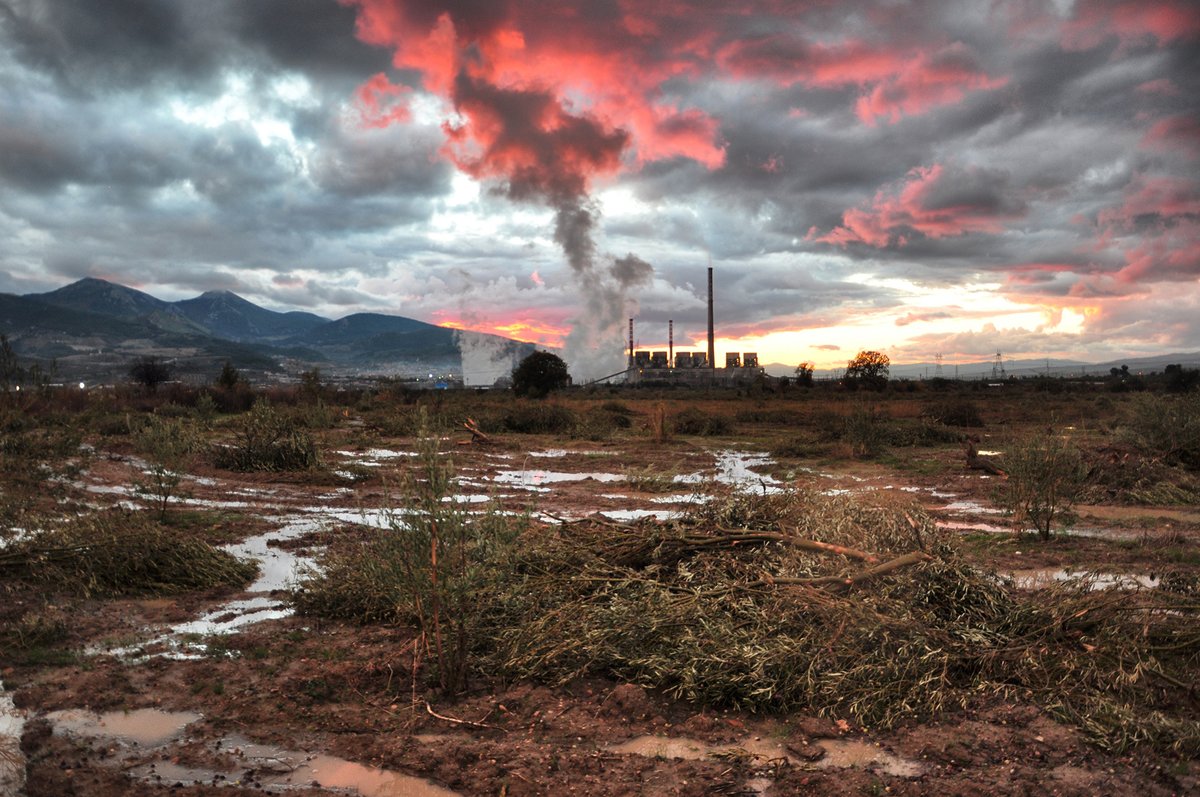 Daha önce de defalarca "Zeytin Koruma Kanunu" olarak bilinen 3573 sayılı kanunu değiştirmeye çalıştılar. Ancak tepkiler nedeniyle bunu başaramadılar. 

Şimdi hepimizin gözü savaşa odaklanmışken, bir geceyarısı değişikliği ile yağmanın önünü açmaya çalışıyorlar. #ZeytinimeDokunma