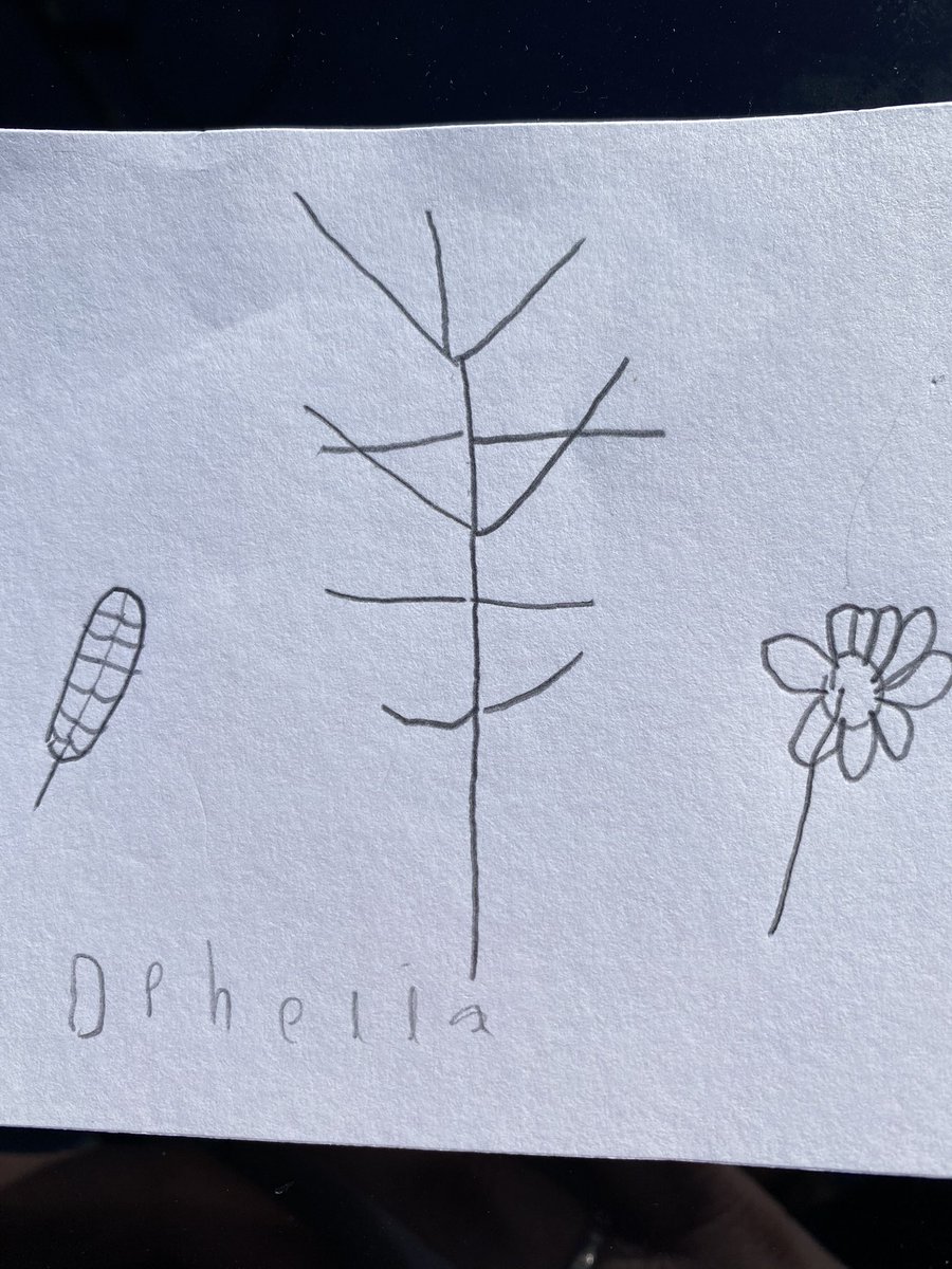 MissMcColmKWP's tweet photo. Here are some examples of our nature sketches. They are going to look super on display in our class ‘Nature Sketchbook’. We had such fun, even if we didn’t manage to spot Plop! 🦉 @KingswoodParksP @HumberEdTrust https://t.co/fePPXc0zXn