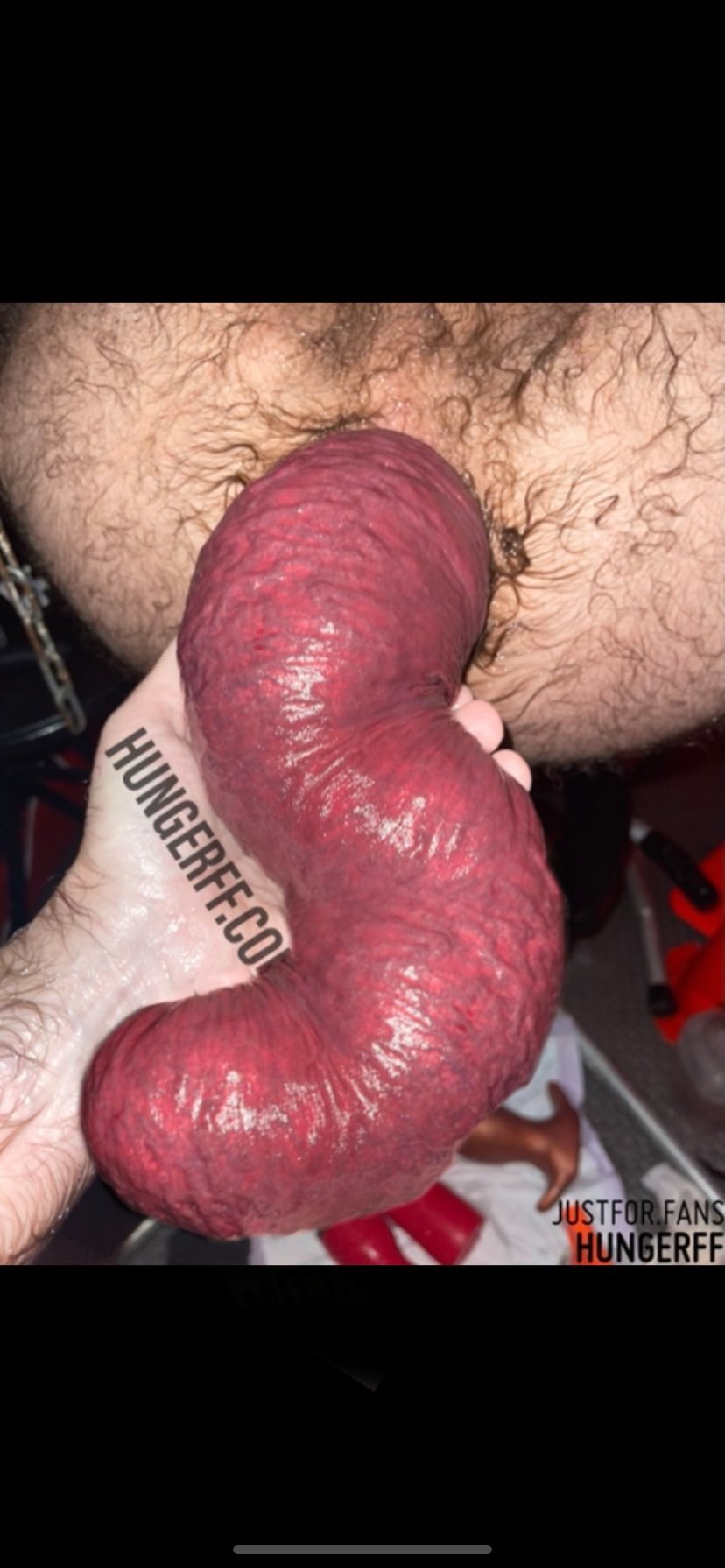 David Collet on X: Did someone order some XXXL sausage? I sure did!  @HungerFFs prolapse inspire me so much! t.coBd3mzPEmdI  X