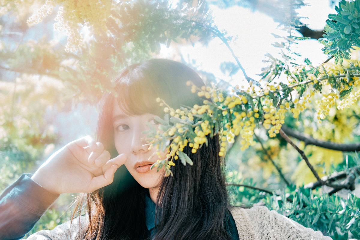 KongoRodriguez's tweet photo. #ミモザ #portrait #2020spring #再掲 https://t.co/foFE6JTvOH