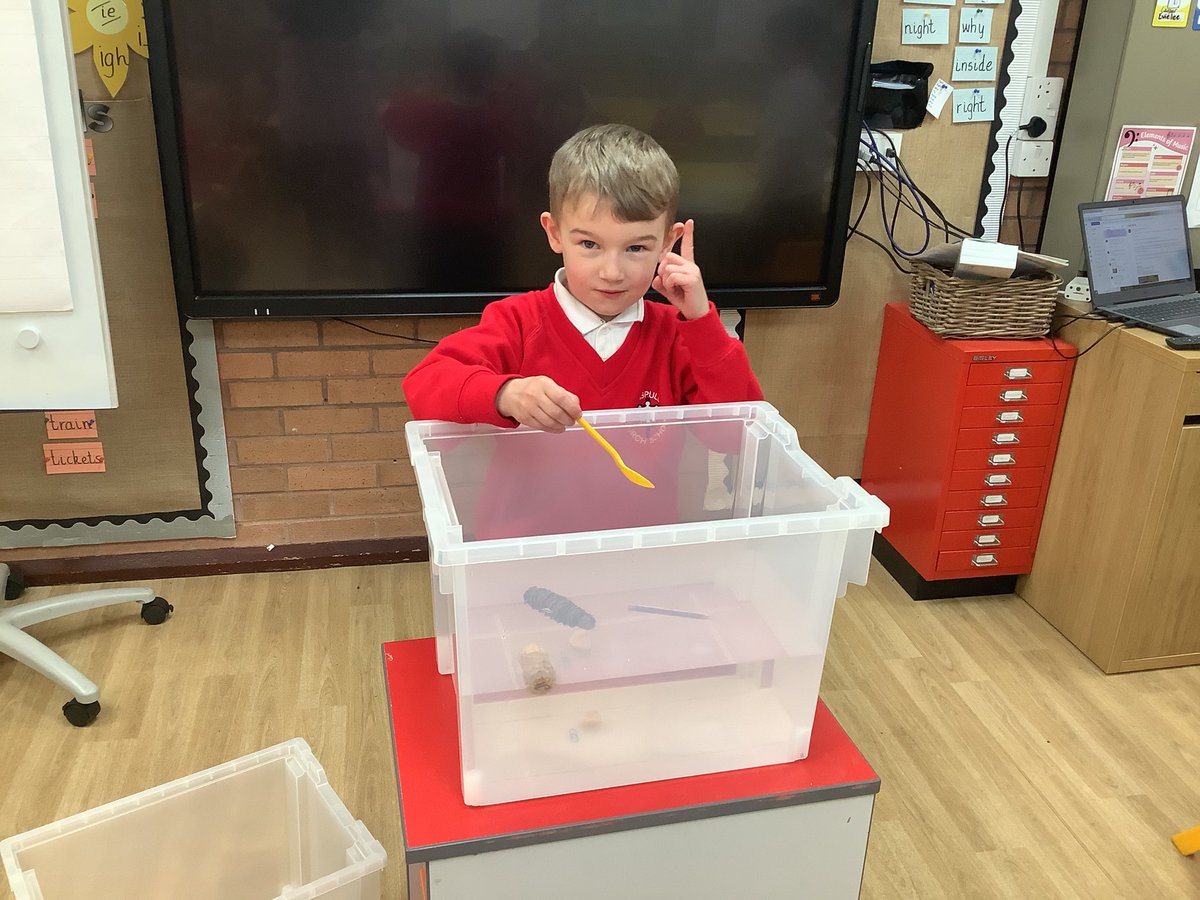 Class1Aspull's tweet photo. Scientists investigating which objects float and which objects sink! #acpsscience #floatingandsinking ⚓️ https://t.co/ymAUcdlgdU