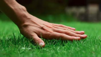 Kin_Kan_Do's tweet photo. With our busy lives we don’t always have time to put our lawns first but don’t worry that is what we are here for! Find out what services we offer here: https://t.co/sHpWrbBL3D https://t.co/oAbCdgCUc0