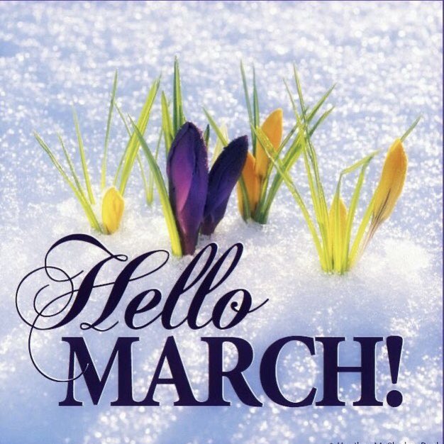 NaturalTroops's tweet photo. Is Spring Coming Through? 💐 https://t.co/0PQkcBE19D
