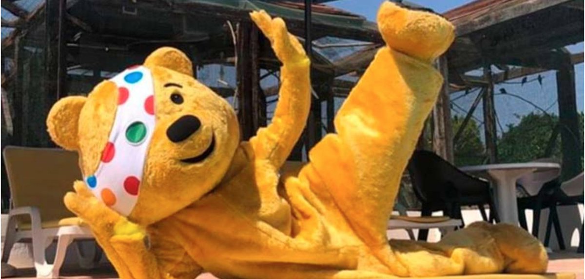 Great to catch up over a virtual coffee with the legendary @tonyokotie of @BBCCiN just now - Pudsey wasn't available. (This is Pudsey, not Tony)...