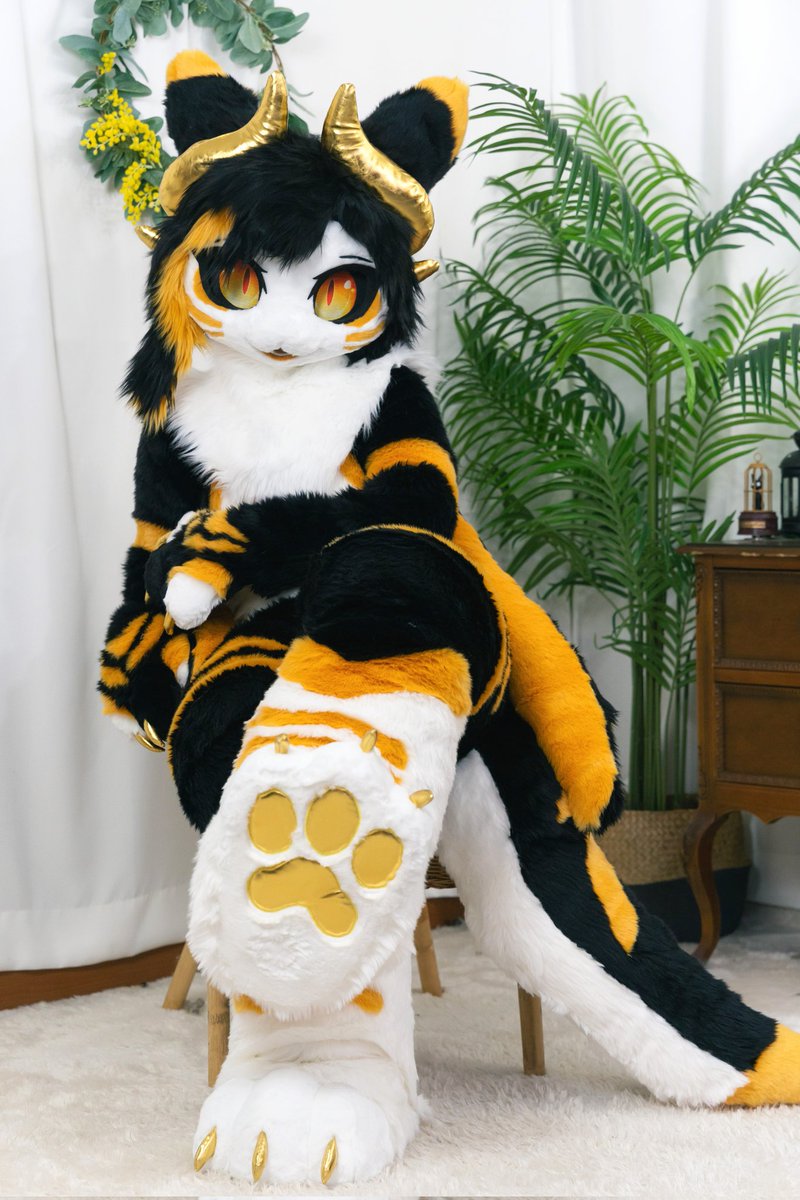 비둘기 tweet media