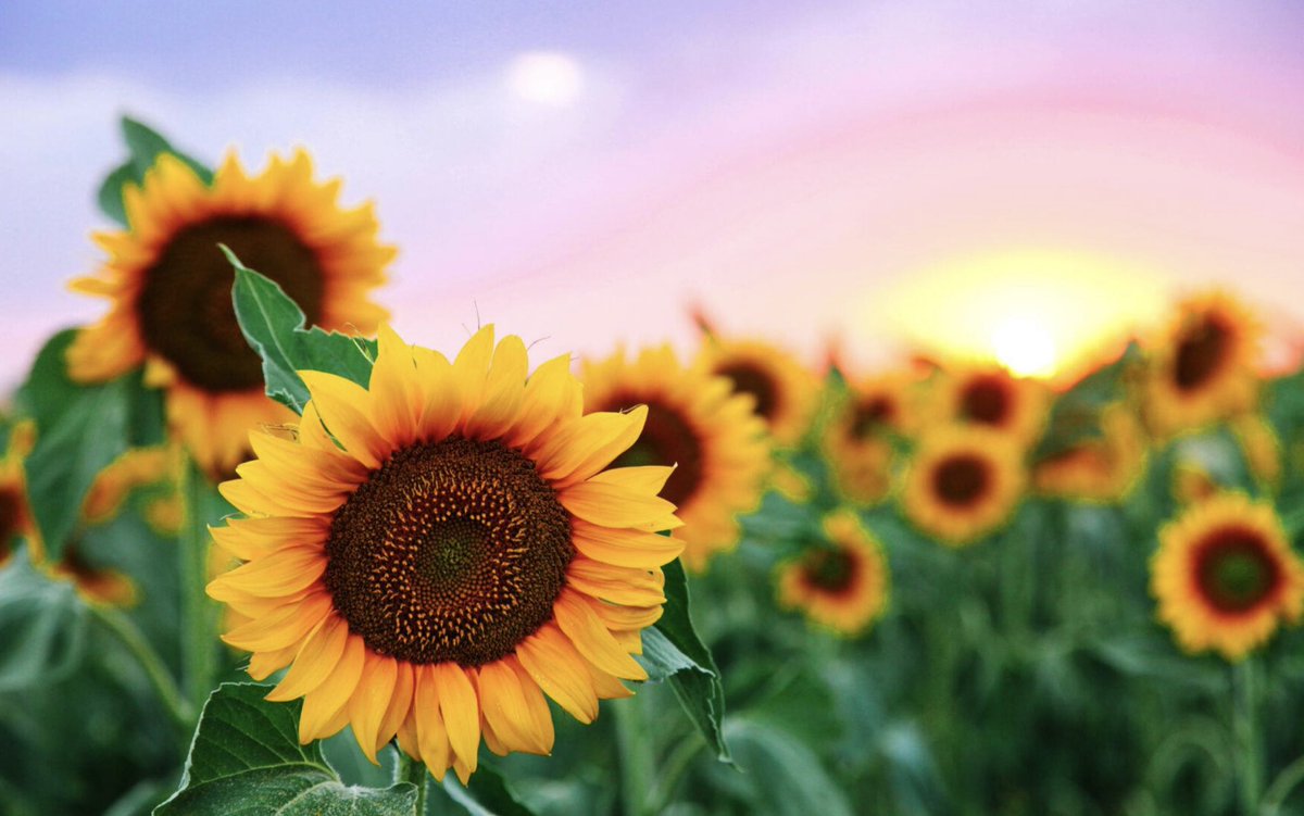 MichaelJGelb's tweet image. 