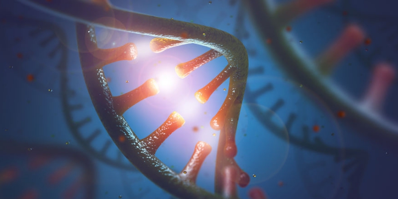 GoutGroup's tweet photo. This study set out to identify key genes and pathways related to #gout. It was found that pro-ADM expression was higher in the gout group, meaning it can be used as an inflammation-related biomarker for acute gout attacks.

https://t.co/hjkCJY414F https://t.co/p8DPwkdMIz