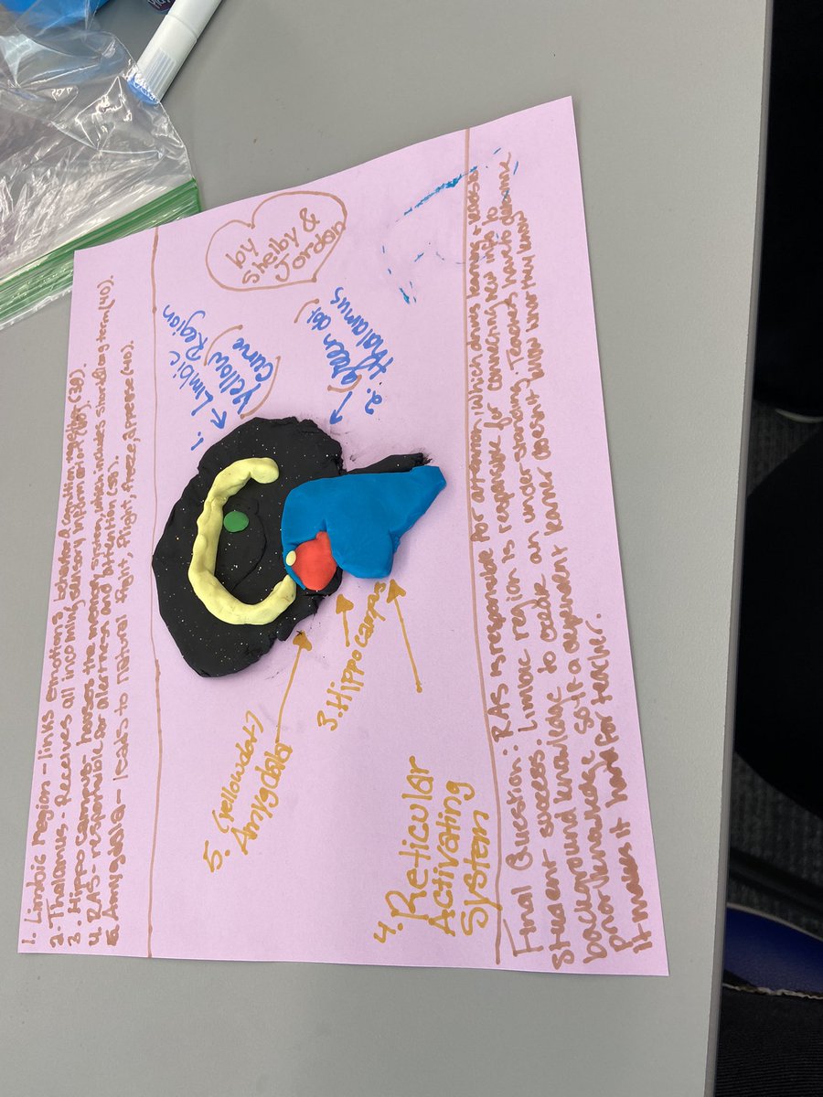 Learning about culturally responsive teaching and the brain with <a href="/ProfMadrazo/">Danielle Madrazo</a> <a href="/jordantress730/">Jordan Tress</a>