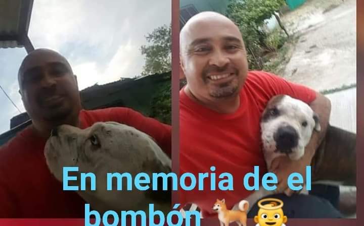 JorgeJaime_1's tweet photo. Hoy se cumplen 10 años desde que comenzó mi amor por ayudar a los perritos o cualquier animalito abandonado  parece poco pero ya son 10 años con mucho sacrificio caminar  lloviendo mucho frío o calor con gripa dolor de cabeza   
Todo en memoria de el bombón ❤ https://t.co/fzdHTz0dMC