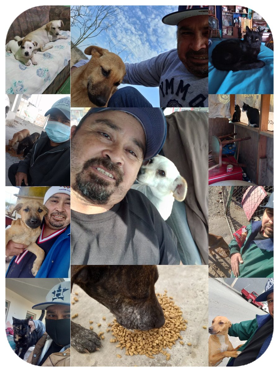 JorgeJaime_1's tweet photo. Hoy se cumplen 10 años desde que comenzó mi amor por ayudar a los perritos o cualquier animalito abandonado  parece poco pero ya son 10 años con mucho sacrificio caminar  lloviendo mucho frío o calor con gripa dolor de cabeza   
Todo en memoria de el bombón ❤ https://t.co/fzdHTz0dMC
