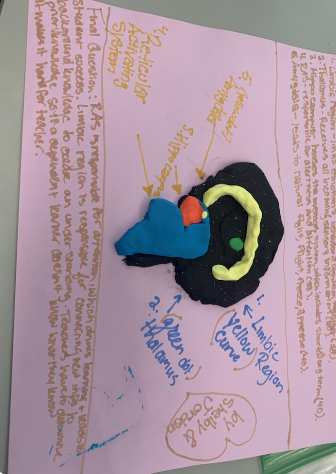 Learning more about Culturally Responsive Teaching with <a href="/ShelbyPonceBU/">Shelby Ponce</a> and <a href="/ProfMadrazo/">Danielle Madrazo</a> !