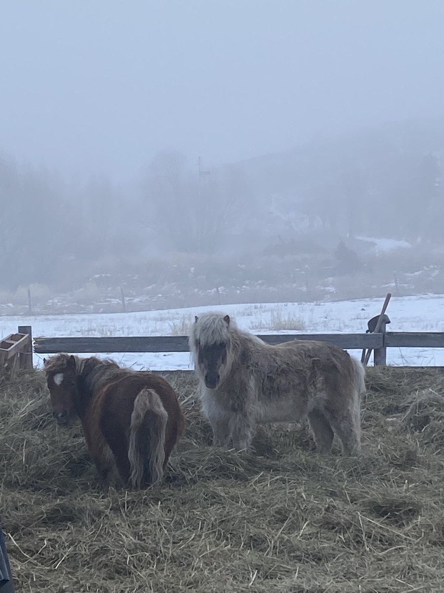 Grow Calgary tweet media