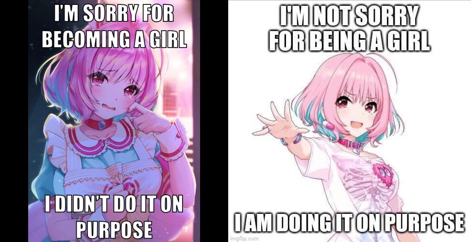 traabot's tweet photo. [Transfem] The two genders https://t.co/KVsDFAa7q8 https://t.co/I8HzrLxMgm