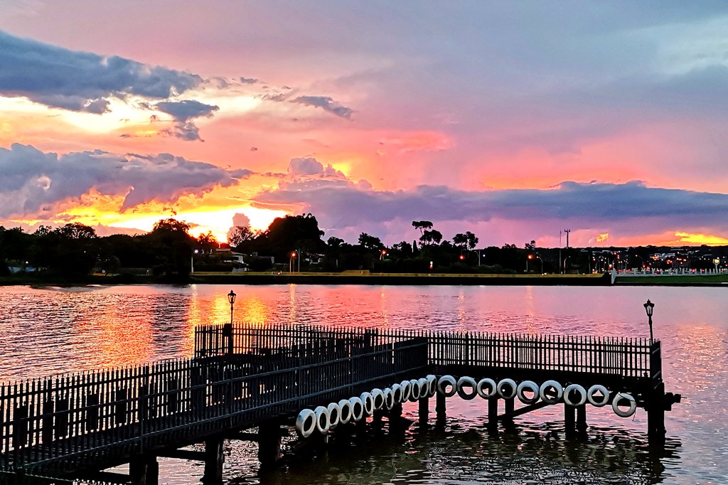 楊萬明Yang Wanming tweet media