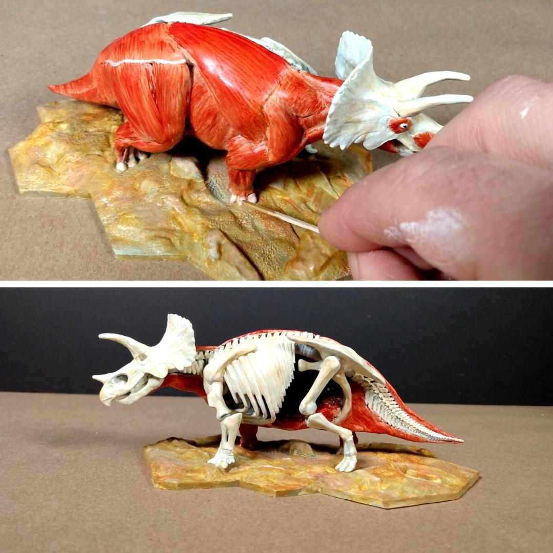 RAMaterials's tweet image. Reynolds-Charlotte&apos;s inside tech Kevin Jones uses Free Form™ Sculpt, Free Form™ Detailer, MT-13™, and UVO™ urethane pigments to customize a triceratops anatomical model!

#ramaterials #charlotte #anatomicalmodel #dinosaur #triceratops #sculpting #customization