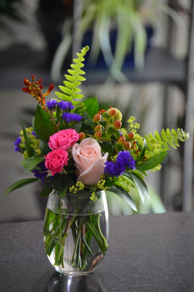 TheFrugalFlower's tweet photo. Happy March 1st! https://t.co/0Y1KAuACVf