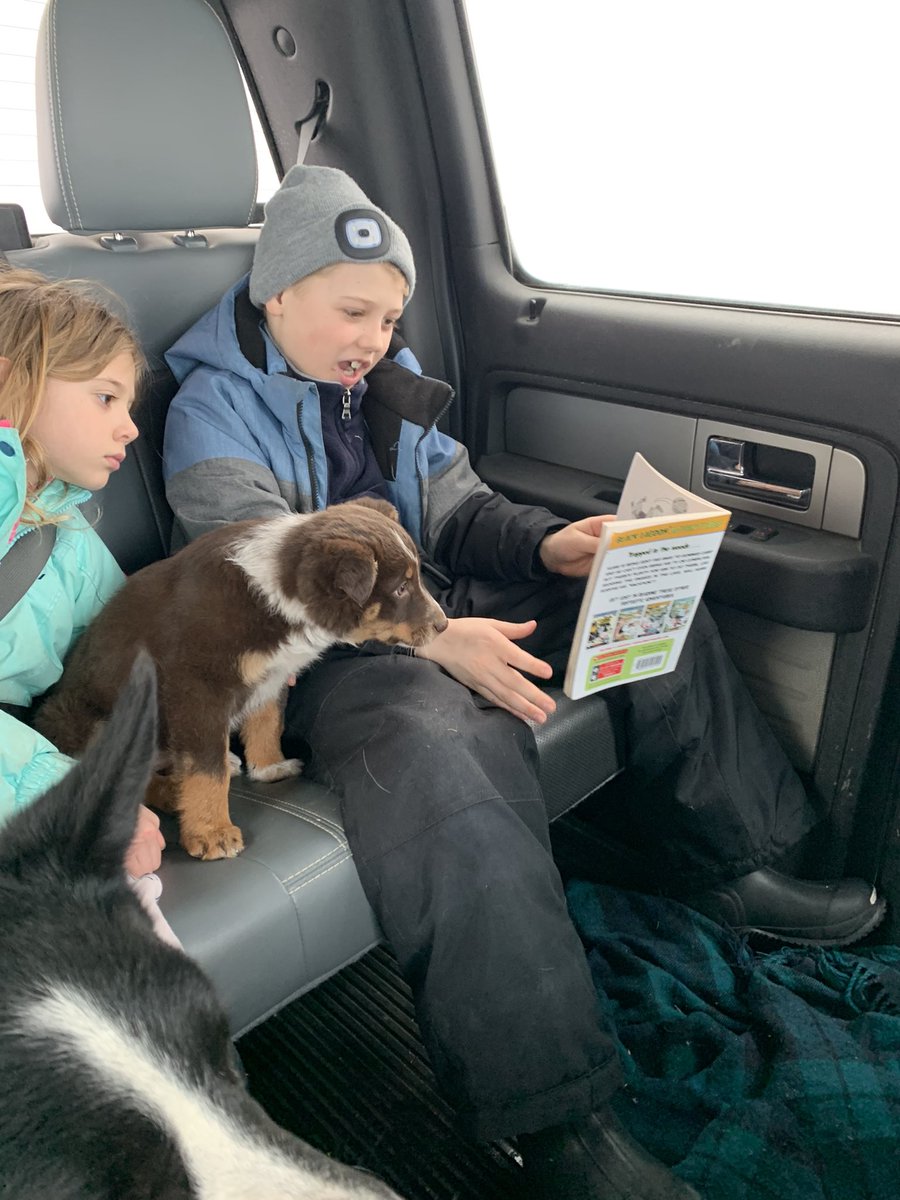 Off to get 8 week shots #keepallmykidssafe #VaccinesSaveLives #HAWK #bordercolliebaby