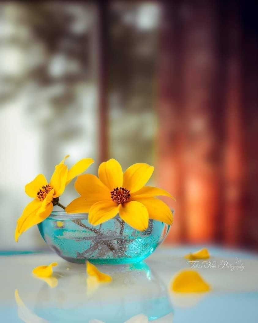 ✍️.                                                               #جمال العقل بالفكر، وجمال اللسان بالصمت، وجمال الوجه بالعبادة، وجمال الفؤاد بترك الحسد، وجمال الحال بالاستقامة، وجمال الكلام بالصدق، فارضَ بما كتبه الله تكن أغنى الناس🦋.